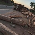 Carreta tomba e toras de madeira se espalham pela BR-459