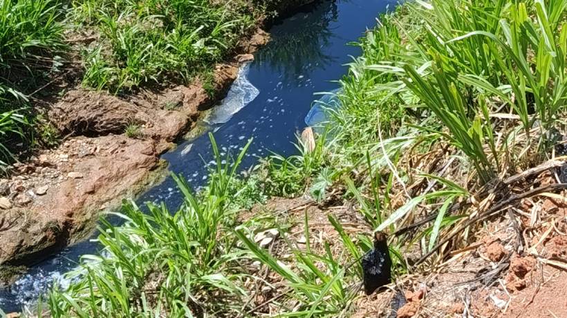 Denúncia: Despejo de esgoto em córrego prejudica saúde pública e vida animal