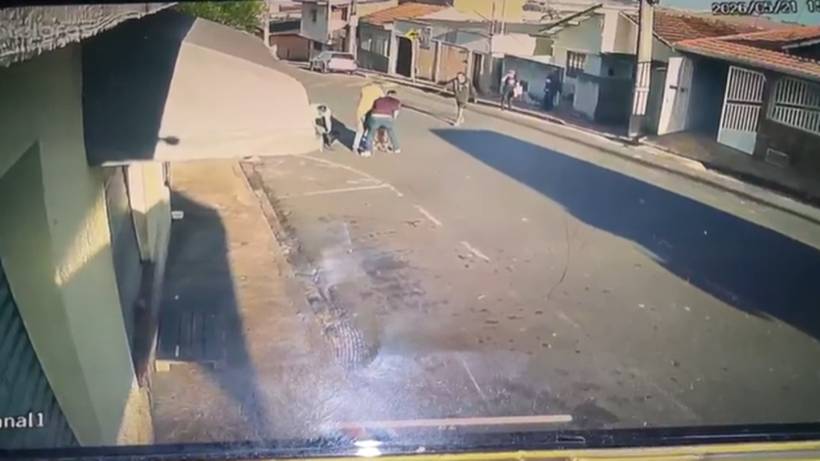Câmera flagra cão pitbull atacando cadela vira-lata em Pouso Alegre
